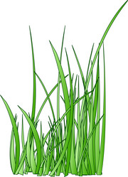 Similar image 2960876