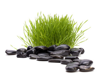 Similar image 2960904