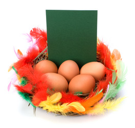 Similar image 2960940