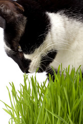 Similar image 2960965