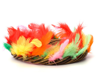 Similar image 2961012