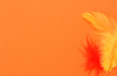 Similar image 2961068