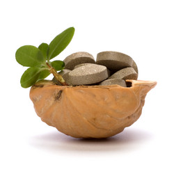 Similar image 2961144