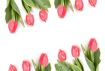 Similar image 2961188