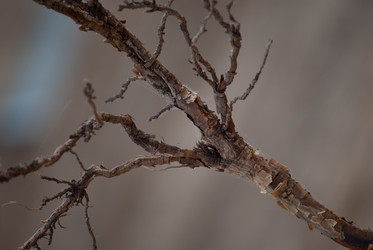 Similar image 2961223