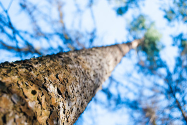 Similar image 2961224