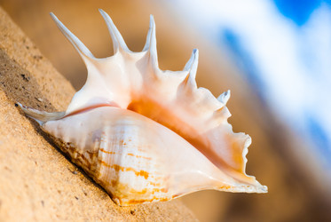 Similar image 2961225