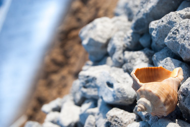 Similar image 2961226