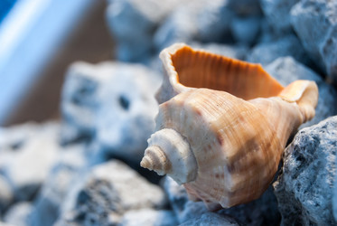 Similar image 2961227