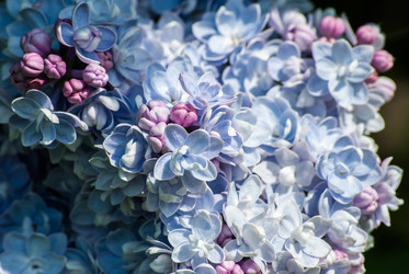 Similar image 2961230