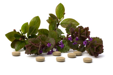 Similar image 2961276