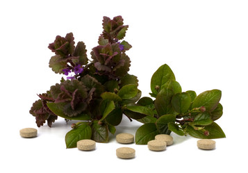 Similar image 2961282