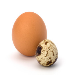 Similar image 2961286