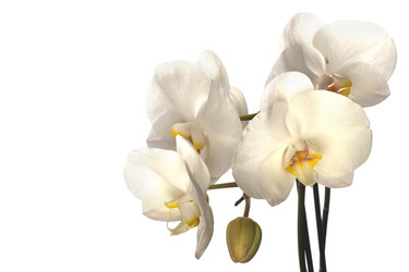 Similar image 2961300