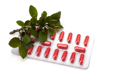 Similar image 2961315