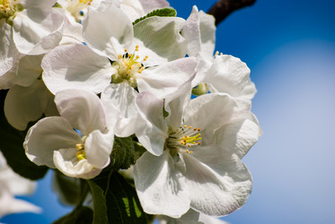 Similar image 2961348