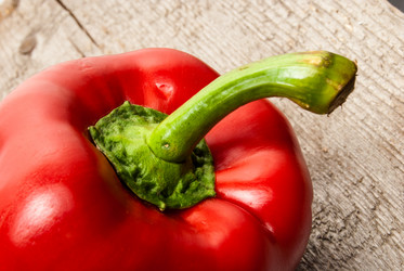 Similar image 2961350