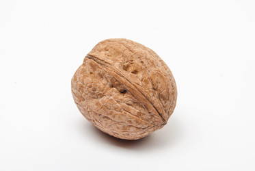 Similar image 2961353