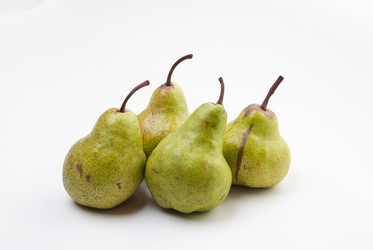 Similar image 2961375