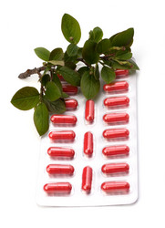 Similar image 2961401