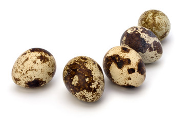 Similar image 2961407