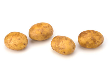 Similar image 2961409