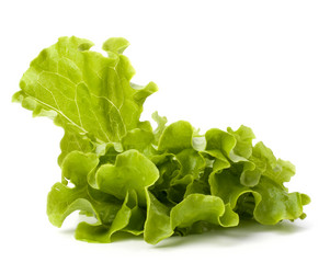 Similar image 2961430