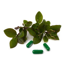 Similar image 2961534