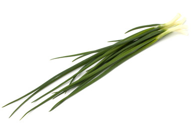 Similar image 2961598