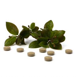 Similar image 2961619