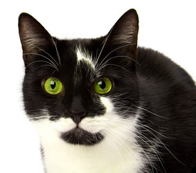 Similar image 2961657