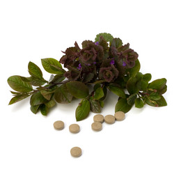 Similar image 2961736