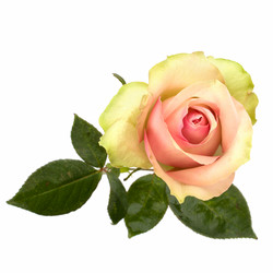 Similar image 2961757