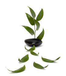 Similar image 2961810