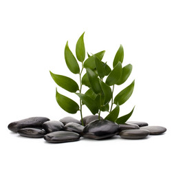 Similar image 2961816