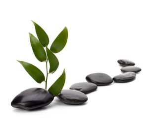 Similar image 2961819