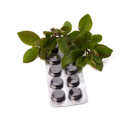 Similar image 2961820