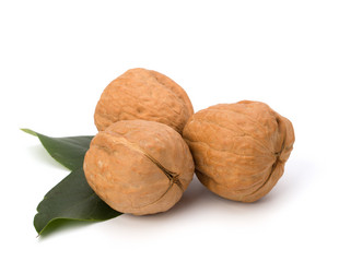 Similar image 2961842