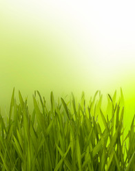 Similar image 2961843