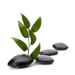 Similar image 2961876