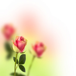 Similar image 2961889