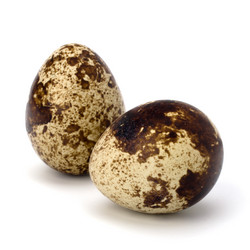 Similar image 2961912