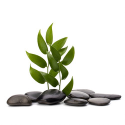 Similar image 2961947