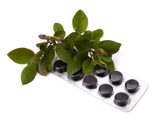 Similar image 2961964