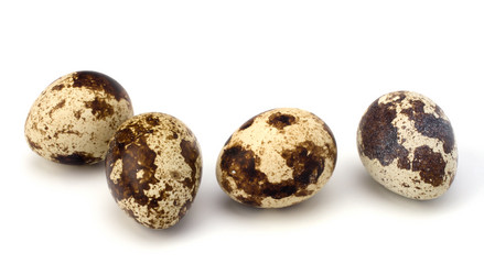 Similar image 2961968