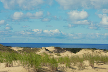 Similar image 2961979