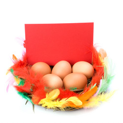 Similar image 2962018