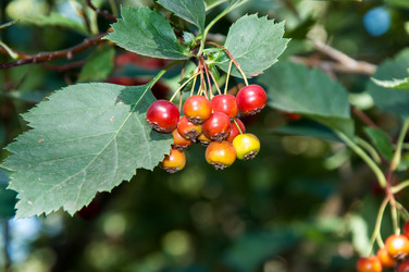 Similar image 2962061