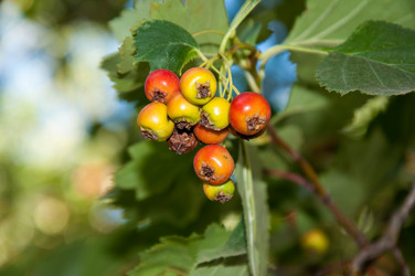 Similar image 2962063