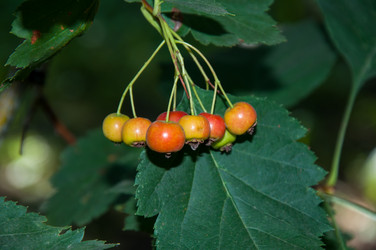 Similar image 2962065